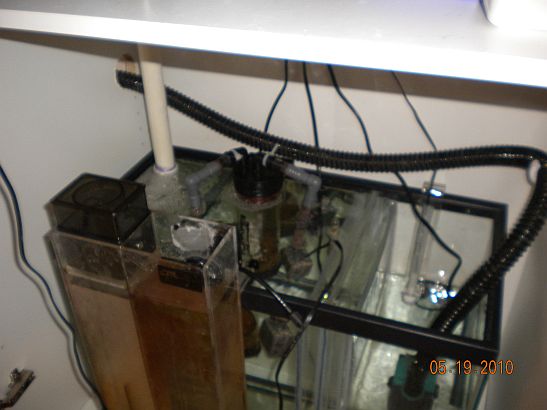 Name:  sump.jpg
Views: 605
Size:  69.2 KB