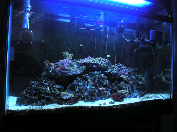 Name:  P1010038.jpg
Views: 363
Size:  92.8 KB