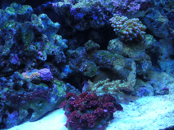 Name:  P1010025.jpg
Views: 423
Size:  136.3 KB