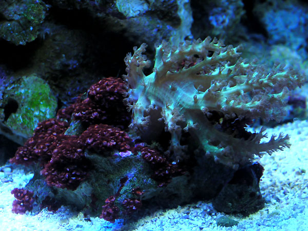 Name:  P1010011.jpg
Views: 428
Size:  117.2 KB
