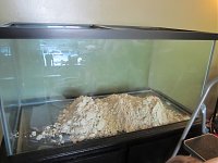Click image for larger version

Name:	IMG_0269.jpg
Views:	920
Size:	97.0 KB
ID:	2157