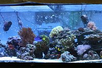 Click image for larger version

Name:	full tank middle resized.jpg
Views:	2130
Size:	109.5 KB
ID:	2422