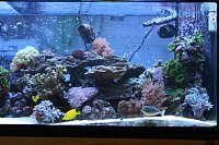 Click image for larger version

Name:	full tank right resized.jpg
Views:	2386
Size:	110.2 KB
ID:	2423