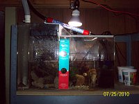 Click image for larger version

Name:	028.jpg
Views:	322
Size:	123.6 KB
ID:	2424