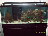 Click image for larger version

Name:	031.jpg
Views:	328
Size:	136.1 KB
ID:	2425