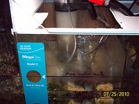Click image for larger version

Name:	029.jpg
Views:	324
Size:	122.1 KB
ID:	2426