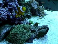 Click image for larger version

Name:	Untitled 0 00 11-02.jpg
Views:	3624
Size:	74.5 KB
ID:	2455