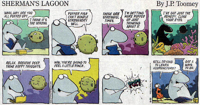 Name:  stressed_puffer.jpg
Views: 2232
Size:  110.9 KB