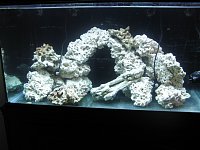 Click image for larger version

Name:	New Scape No Lights2.jpg
Views:	562
Size:	96.5 KB
ID:	2584
