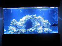 Click image for larger version

Name:	New Scape MH and T5.jpg
Views:	563
Size:	127.5 KB
ID:	2588