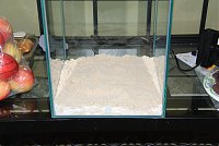 Click image for larger version

Name:	55GallonFluvalChiAquarium000-8.jpg
Views:	1437
Size:	224.4 KB
ID:	2598