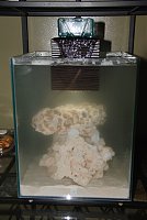Click image for larger version

Name:	55GallonFluvalChiAquarium000-11.jpg
Views:	1567
Size:	205.0 KB
ID:	2599