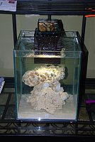 Click image for larger version

Name:	55GallonFluvalChiAquarium000-15.jpg
Views:	1515
Size:	248.3 KB
ID:	2601