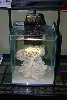 Click image for larger version

Name:	55GallonFluvalChiAquarium000-15.jpg
Views:	219
Size:	248.3 KB
ID:	2601