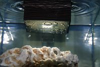 Click image for larger version

Name:	55GallonFluvalChiAquarium000-16.jpg
Views:	1541
Size:	225.1 KB
ID:	2602
