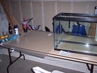 Click image for larger version

Name:	sump and acrylic.jpg
Views:	386
Size:	123.7 KB
ID:	2739