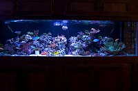 Click image for larger version

Name:	tankftslumenbright.jpg
Views:	407
Size:	218.3 KB
ID:	2775