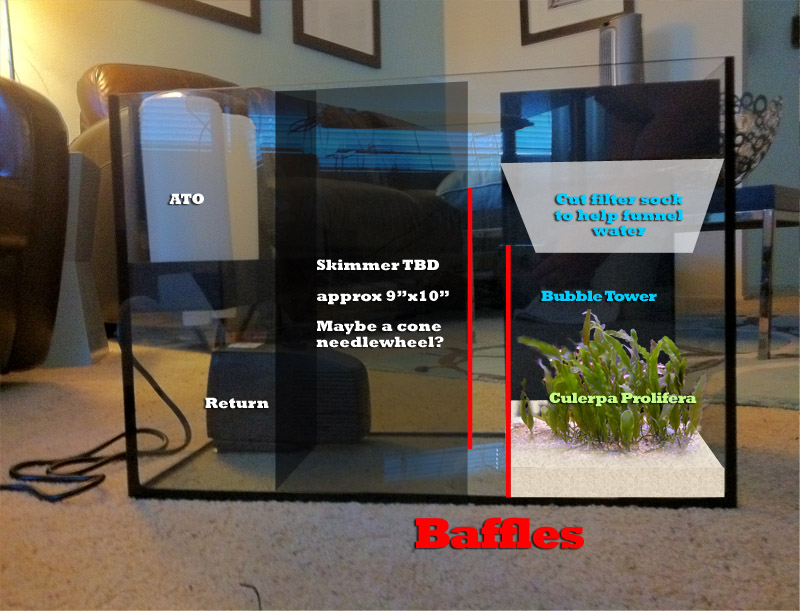 Name:  sump.jpg
Views: 4621
Size:  162.3 KB