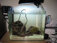 Click image for larger version

Name:	IMG_1016.jpg
Views:	2979
Size:	128.6 KB
ID:	2950