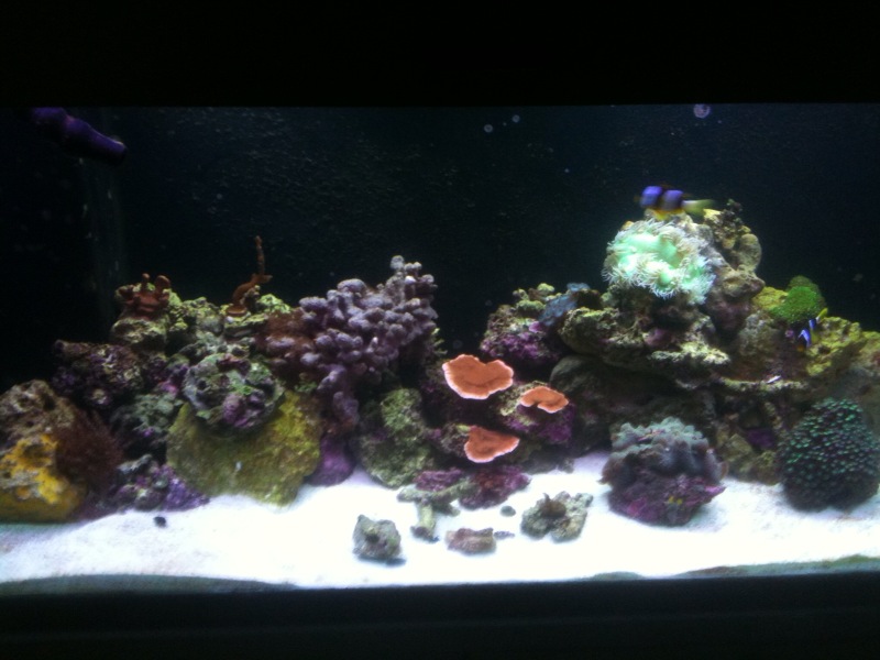 Name:  photo.jpg
Views: 884
Size:  103.7 KB