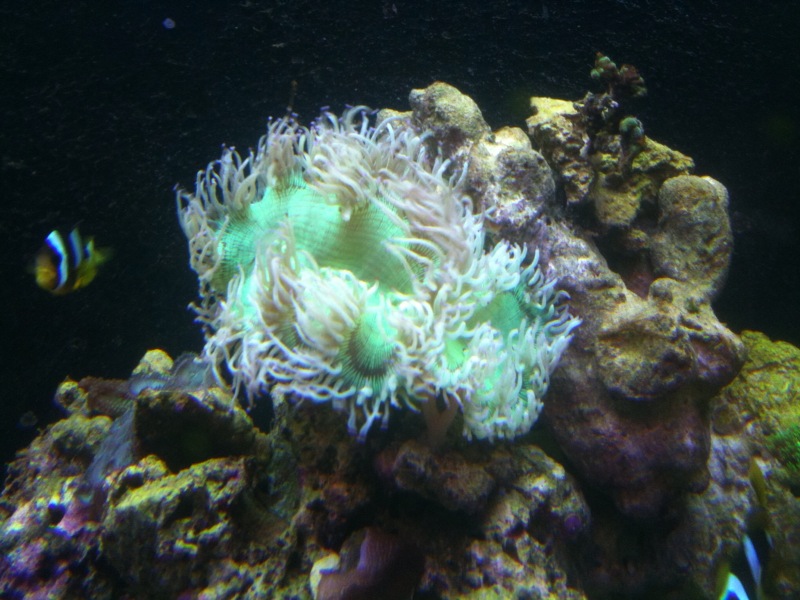Name:  photo.jpg
Views: 938
Size:  143.7 KB