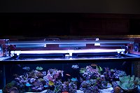 Click image for larger version

Name:	lights1.jpg
Views:	258
Size:	127.5 KB
ID:	3127