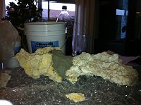 Click image for larger version

Name:	aphoto 5-2.jpg
Views:	352
Size:	121.3 KB
ID:	3342