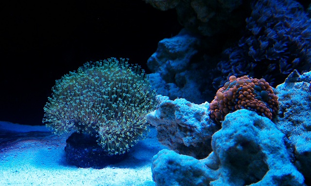 Name:  IMAG0044.jpg
Views: 271
Size:  233.4 KB