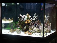 Click image for larger version

Name:	IMG_0834.jpg
Views:	183
Size:	250.8 KB
ID:	4127