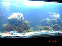 Click image for larger version

Name:	DSCN3961.jpg
Views:	1333
Size:	115.6 KB
ID:	4163