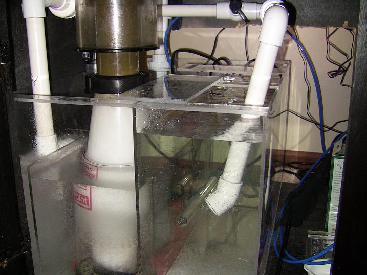 Name:  Sump Installed.jpg
Views: 2291
Size:  77.2 KB