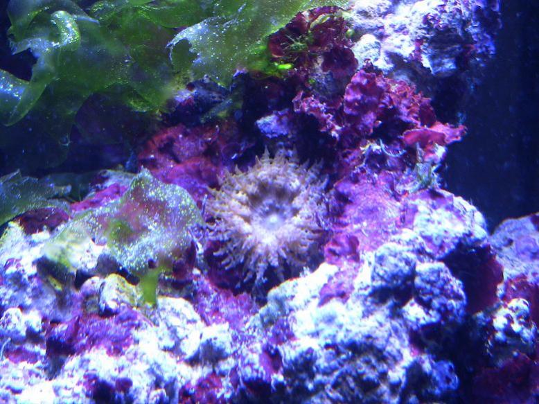 Name:  nem 2-20-11.jpg
Views: 243
Size:  93.3 KB