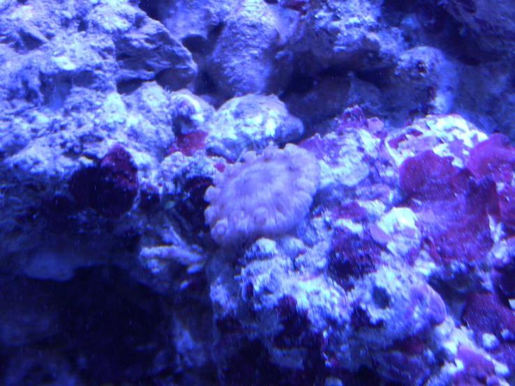 Name:  IMG_0767 sm.jpg
Views: 252
Size:  87.3 KB