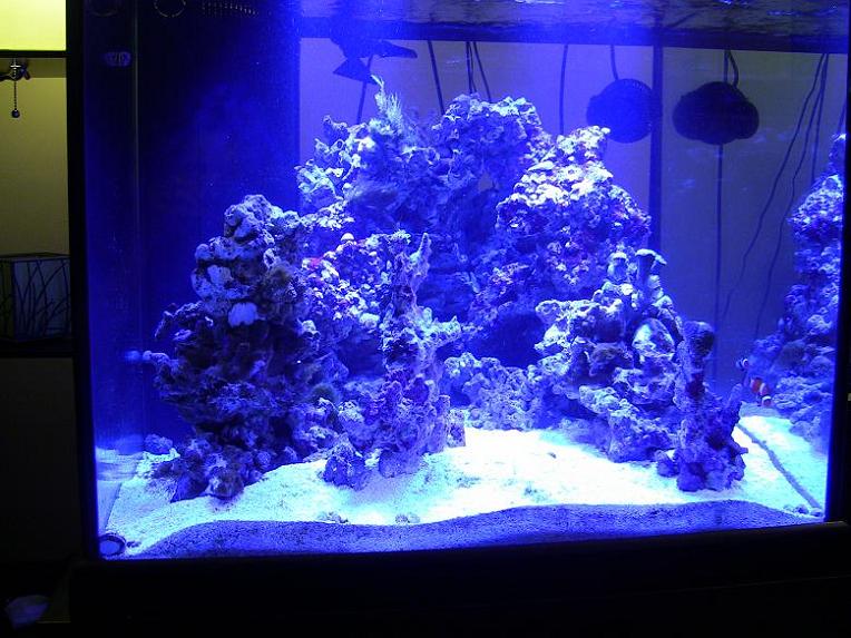 Name:  FTS2 3-5-11.jpg
Views: 244
Size:  98.8 KB