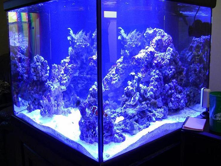 Name:  FTS 3-5-11.jpg
Views: 235
Size:  101.9 KB