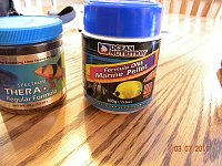 Click image for larger version

Name:	DSCN4211.jpg
Views:	5887
Size:	164.4 KB
ID:	4312