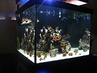 Click image for larger version

Name:	IMG_0865.jpg
Views:	215
Size:	205.3 KB
ID:	4332