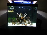 Click image for larger version

Name:	IMG_0864.jpg
Views:	237
Size:	192.9 KB
ID:	4333