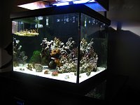 Click image for larger version

Name:	IMG_0866.jpg
Views:	247
Size:	188.4 KB
ID:	4334