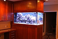 Click image for larger version

Name:	IMG_3047.jpg
Views:	1356
Size:	113.9 KB
ID:	4444
