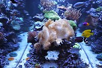 Click image for larger version

Name:	IMG_3060.jpg
Views:	1273
Size:	203.2 KB
ID:	4455