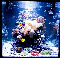 Click image for larger version

Name:	IMG_2990.jpg
Views:	1336
Size:	271.7 KB
ID:	4484