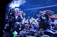 Click image for larger version

Name:	IMG_3033.jpg
Views:	1286
Size:	189.4 KB
ID:	4501