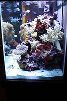 Click image for larger version

Name:	IMG_1423.jpg
Views:	1217
Size:	149.0 KB
ID:	462
