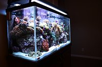 Click image for larger version

Name:	IMG_1453.jpg
Views:	1190
Size:	112.6 KB
ID:	463