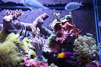 Click image for larger version

Name:	IMG_1406.jpg
Views:	1189
Size:	167.3 KB
ID:	469