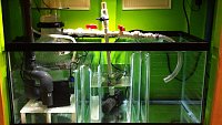 Click image for larger version

Name:	IMG_0775.jpg
Views:	486
Size:	111.2 KB
ID:	4726