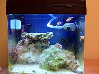 Click image for larger version

Name:	IMG_0777.jpg
Views:	330
Size:	143.5 KB
ID:	4761