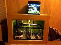 Click image for larger version

Name:	IMG_0801.jpg
Views:	370
Size:	127.0 KB
ID:	4798