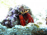 Click image for larger version

Name:	DSCN4247.jpg
Views:	1762
Size:	118.4 KB
ID:	4844
